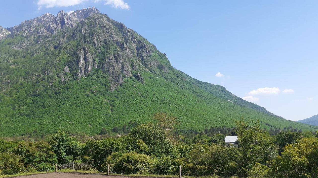 Hotel Driti Gh Nderlysa Shkodër Exterior foto